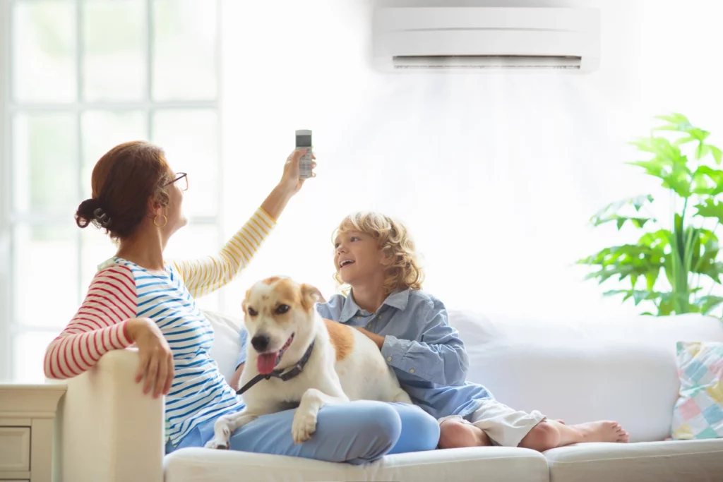 air conditioning family unit